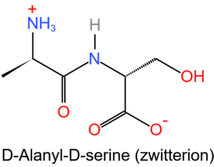 Zwitter ion of Alanine and Serine