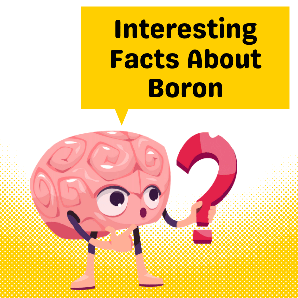 Interesting Facts About Boron