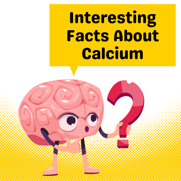 Interesting Facts About Calcium