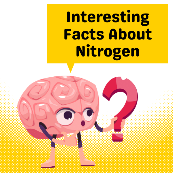 Interesting Facts About Nitrogen