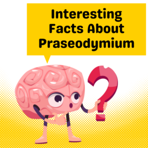 Interesting Facts About Praseodymium