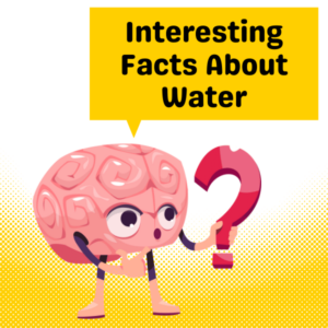 Interesting Facts About Water